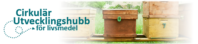 Kommunen som motor för näringslivets cirkulära omställning – Hur då?