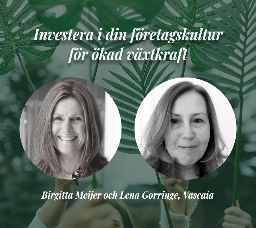 IUC Syds Industrifika 7 december