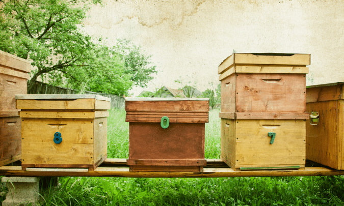 Cirkulär utvecklingshubb illustreras med bikupor