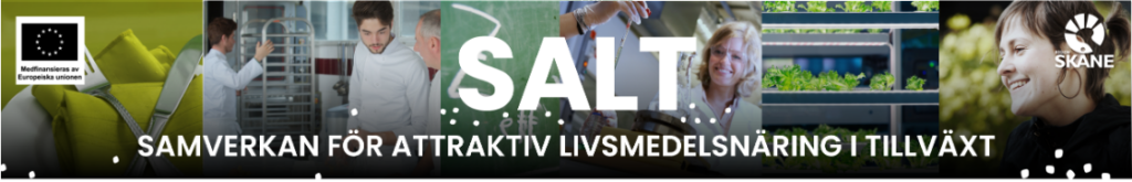 SALT: Omvärldsanalys